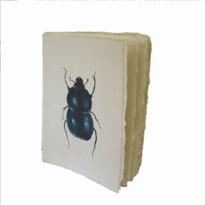 Épigr´A.M. | Cuaderno Artesanal - Escarabajo Azul