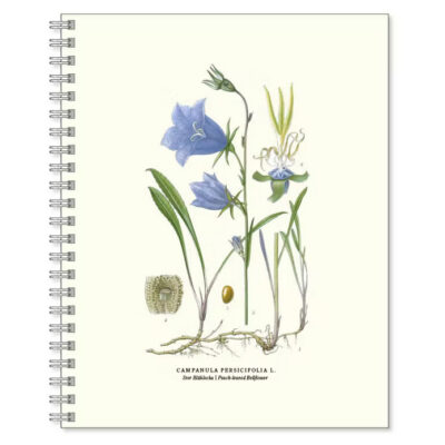 Gullers | Cuaderno Grande Bluebell