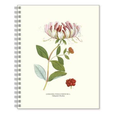 Gullers | Cuaderno Grande Madreselva Salvaje