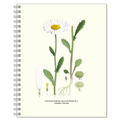 Gullers | Cuaderno Grande Margarita
