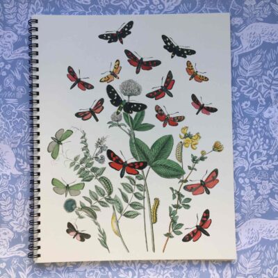 Gullers | Cuaderno Grande Mariposas de Color