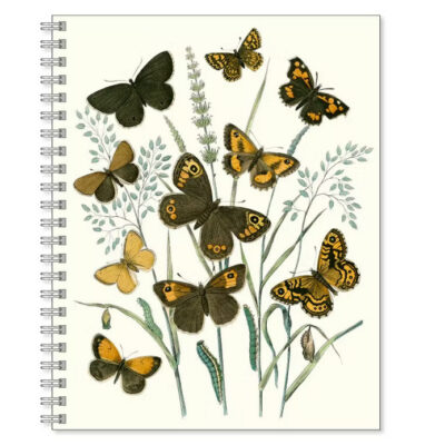 Gullers | Cuaderno Grande Mariposas Marron