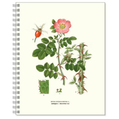 Gullers | Cuaderno Grande Olor Rosa Mosqueta