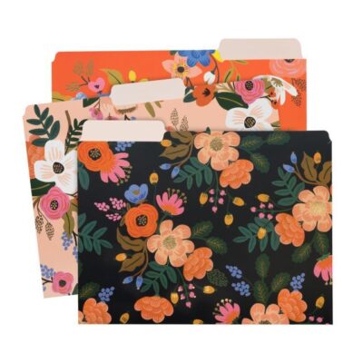 Set de Carpetas Lively
