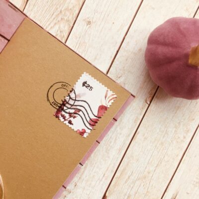 Trece Ideas | Journal Calabazas Blancas - Imagen 2